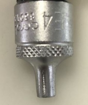 630004